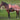 Reitdecke Wasserdicht 0gr Fleece WI24