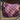 Tapis de selle Denici Cavalli Scabiosa