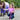 Couverture anti-mouches Mesh Pro Diva Violet