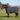 MHS Turnout Blanket Bentley 100gr Navy